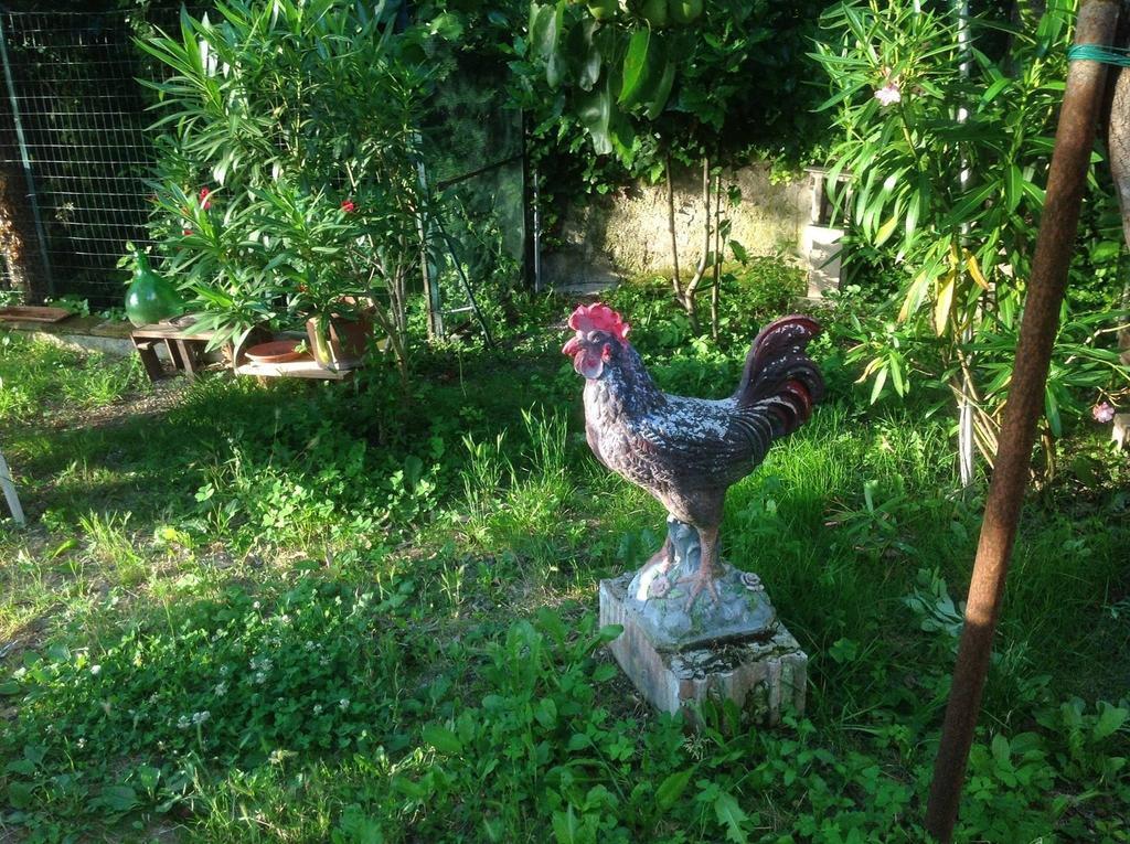 Il Giardino Del Gallo Φολίνιο Εξωτερικό φωτογραφία
