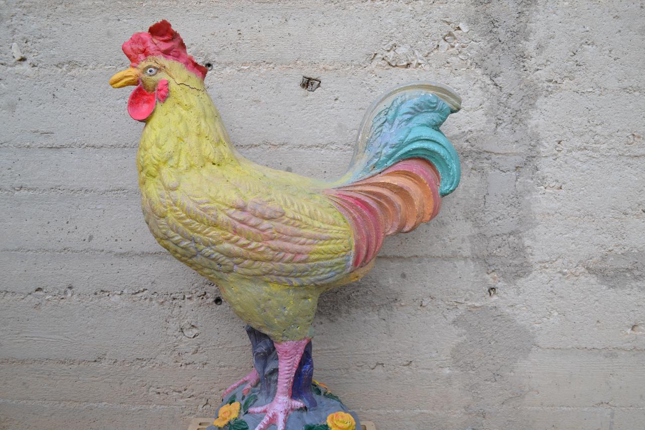 Il Giardino Del Gallo Φολίνιο Εξωτερικό φωτογραφία